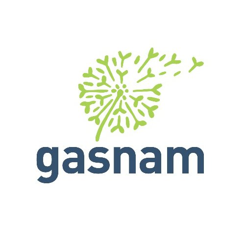 Logo GASNAM